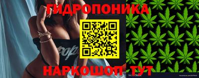 каннабис Берёзовский